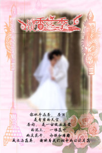 韩式婚纱摄影_2018韩式婚纱模板