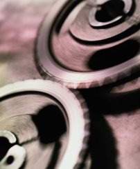 芦苇的精神模板下载(图片编号:1074888)__风景