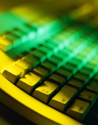 芦苇的精神模板下载(图片编号:1074888)__风景