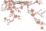 AI矢量图 多款植物花 黑白矢量 花纹 边框 鸟类 蝴蝶 花朵 树叶 水墨画梅 AI矢量图 多款植物花 黑白矢量 花纹 边框 鸟类 蝴蝶 花朵 树叶 水墨画梅