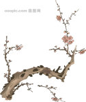 AI矢量图 多款植物花 黑白矢量 花纹 边框 鸟类 蝴蝶 花朵 树叶 水墨画梅 AI矢量图 多款植物花 黑白矢量 花纹 边框 鸟类 蝴蝶 花朵 树叶 水墨画梅