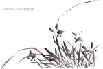 AI矢量图 多款植物花 黑白矢量 花纹 边框 鸟类 蝴蝶 花朵 树叶 梅花 AI矢量图 多款植物花 黑白矢量 花纹 边框 鸟类 蝴蝶 花朵 树叶 梅花