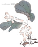 AI矢量图 多款植物花 黑白矢量 花纹 边框 鸟类 蝴蝶 花朵 树叶 水墨荷花 AI矢量图 多款植物花 黑白矢量 花纹 边框 鸟类 蝴蝶 花朵 树叶 水墨荷花