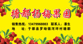 杨梅不干胶 杨梅不干胶