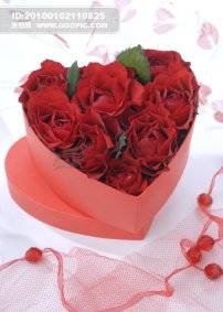 中国福利彩票标志矢量素材模板下载(图片编号